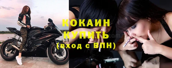 стаф Верхний Тагил